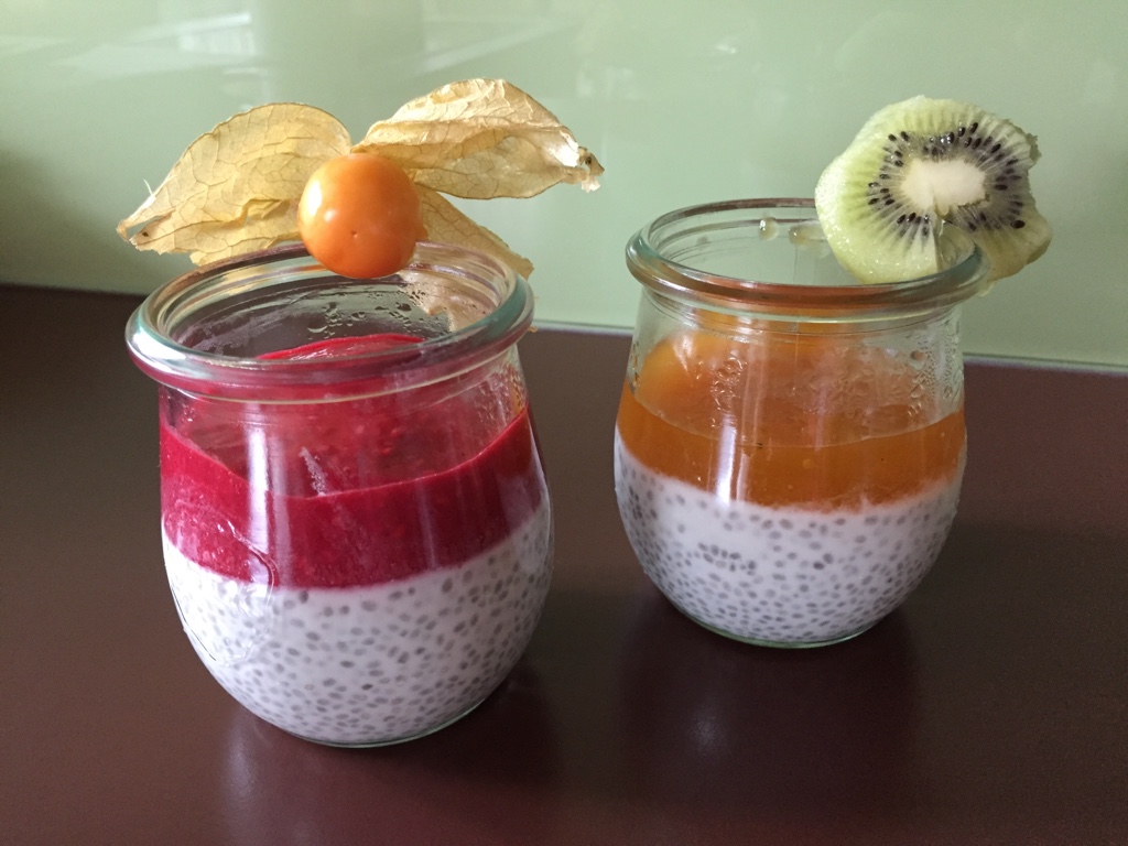 Mango-Kokos Dessert mit Chiasamen: Mein Lieblingsrezept mit Chiasamen.